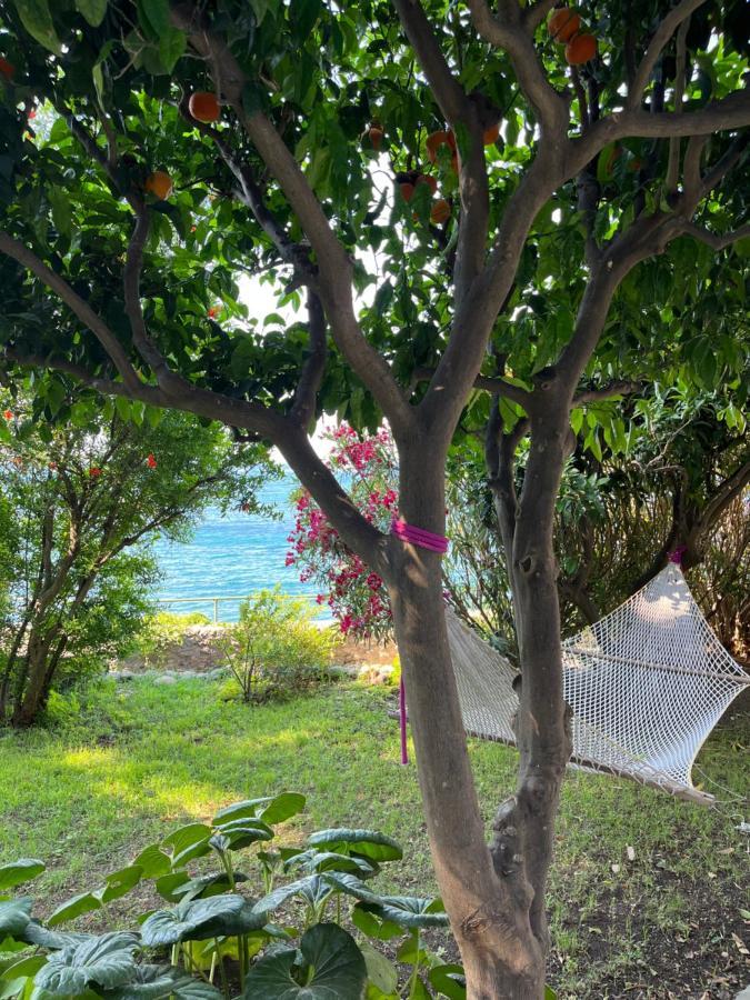 Nelinda Waterfront Accommodation Casamicciola Terme Esterno foto